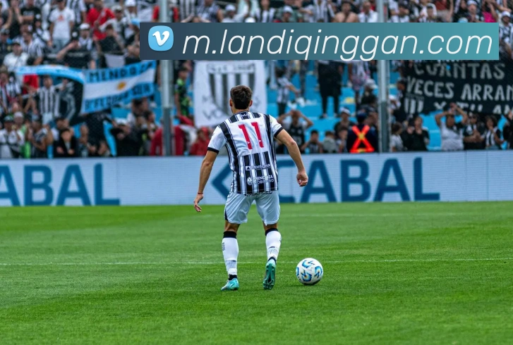 App Interface Preview