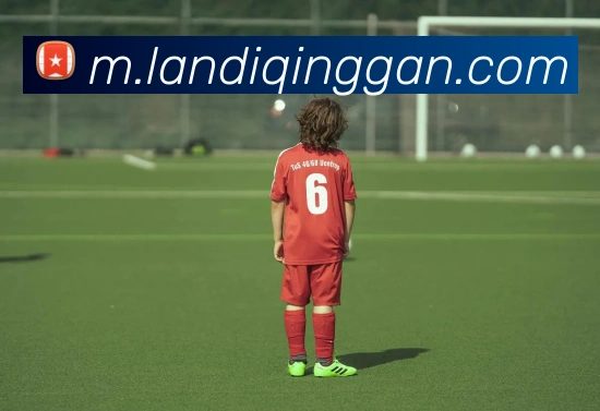 米乐网页版登录官网APP 封面图